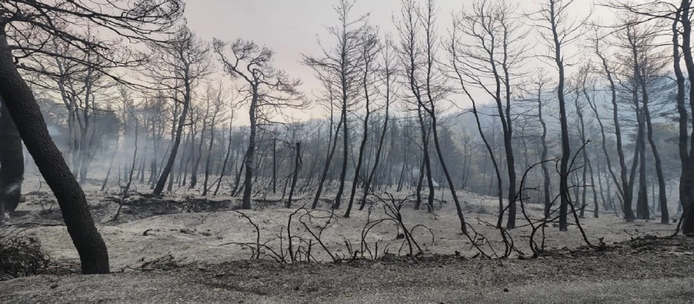 Φωτιά στην Εύβοια: Βίντεο από Drone δείχνει την πλήρη καταστροφή!
